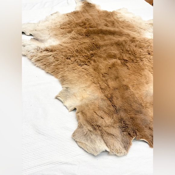 Genuine Kangaroo Animal Hide Rug - Picture 3 of 11